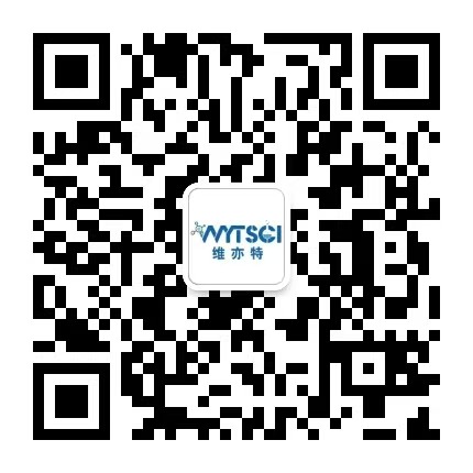 1751077880153091.jpg
